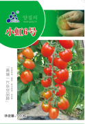 小虹6號(hào)