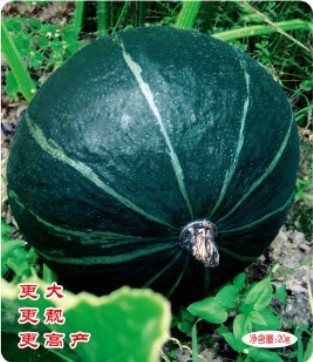 黑滿園